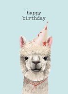 verjaardag kaart hip happy birthday lama alpaca